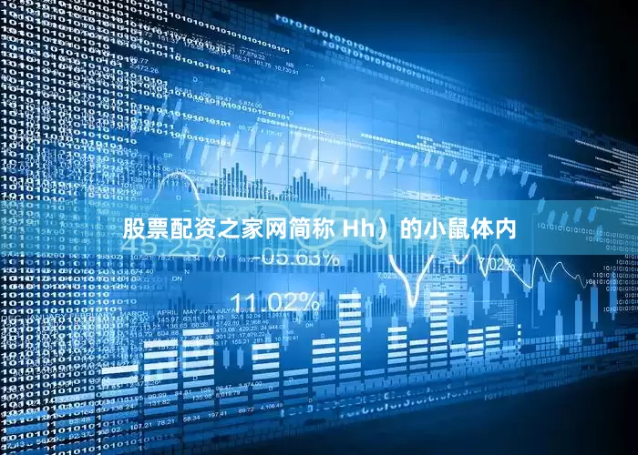 股票配资之家网简称 Hh）的小鼠体内