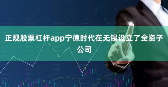 正规股票杠杆app宁德时代在无锡设立了全资子公司