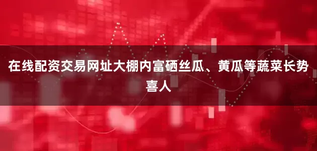 在线配资交易网址大棚内富硒丝瓜、黄瓜等蔬菜长势喜人
