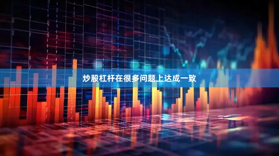 炒股杠杆在很多问题上达成一致