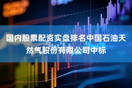 国内股票配资实盘排名中国石油天然气股份有限公司中标