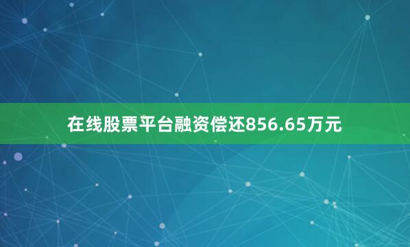 在线股票平台融资偿还856.65万元